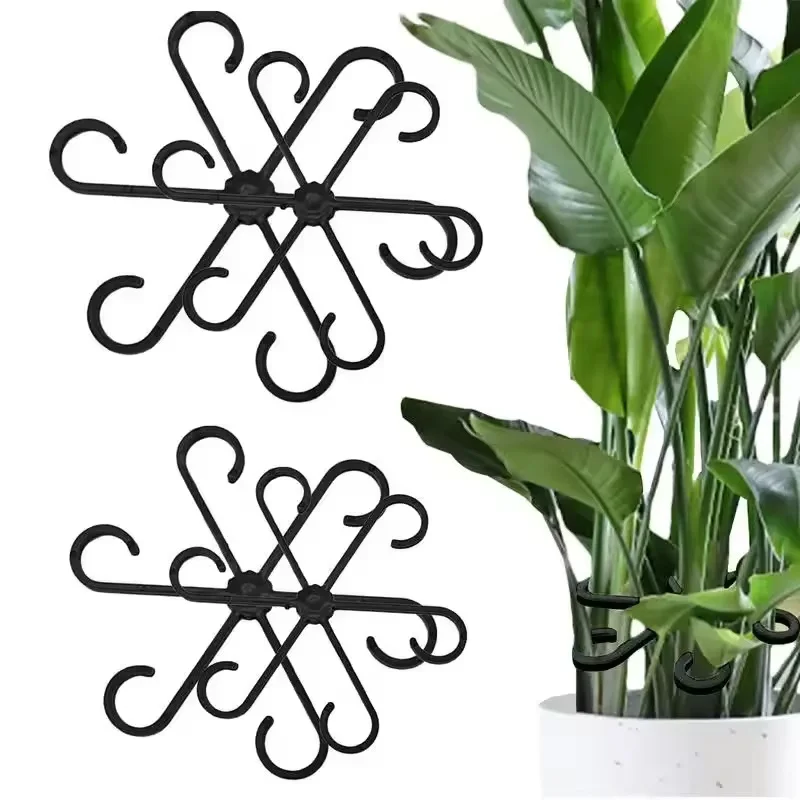 Variegated Monstera Node - Podpórki do liści Alocasy i Monstery,