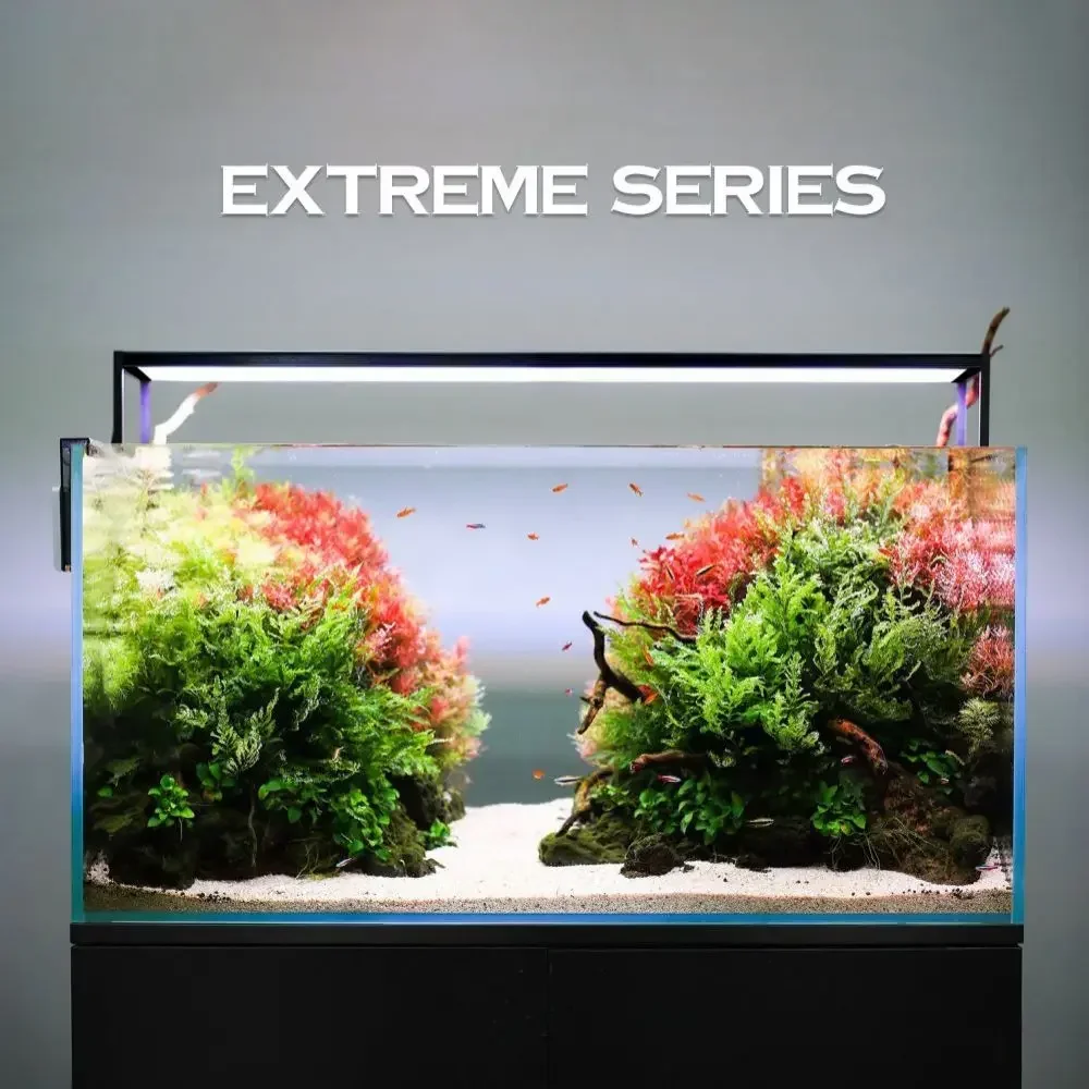 Plant Parent App - MICMOL Extreme Series II Inteligentna roślina