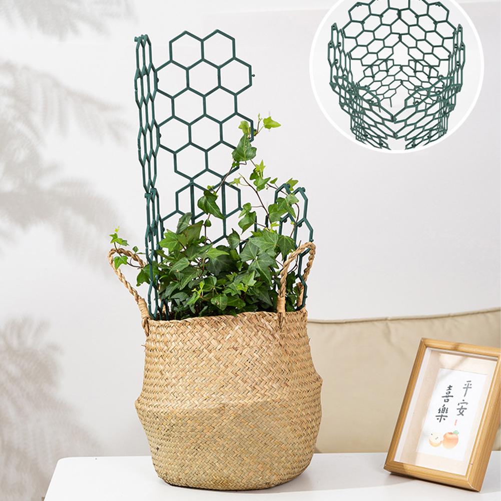 1/2/5 szt. Plastikowe podpórki – Plant Parent Tools recenzja i cena