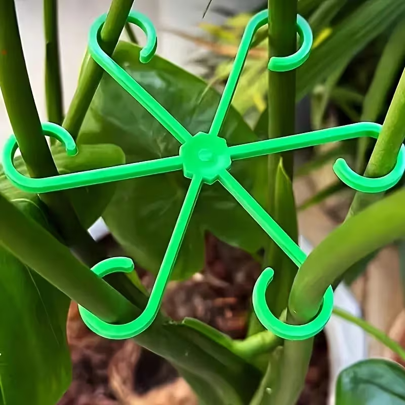8-częściowy zestaw podpórek do – Variegated Monstera Node recenzja i cena