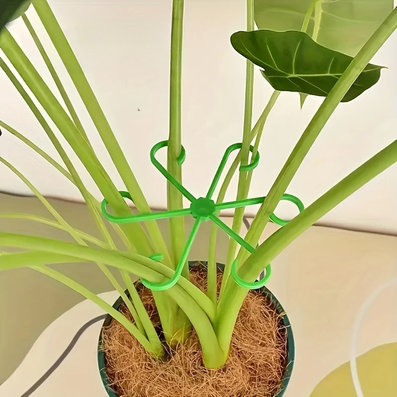 8-częściowy zestaw podpórek do – Variegated Monstera Node recenzja i cena