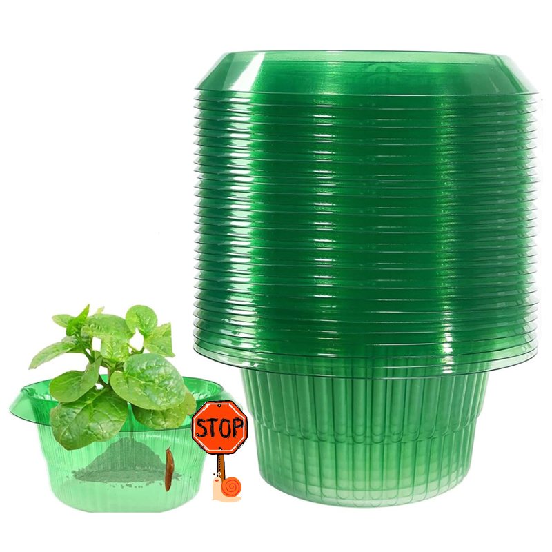 5-25 sztuk rośliny pierścienie – Plant Parent Tools recenzja i cena