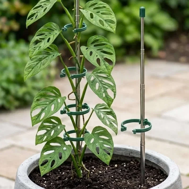 5/1 SZT. Wysuwane pierścienie  – Plant Parent Tools recenzja i cena