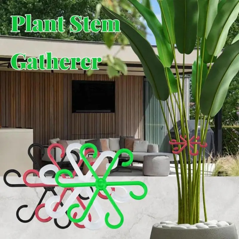 4 szt. Klipsy do podpór roślin – Variegated Monstera Node recenzja i cena