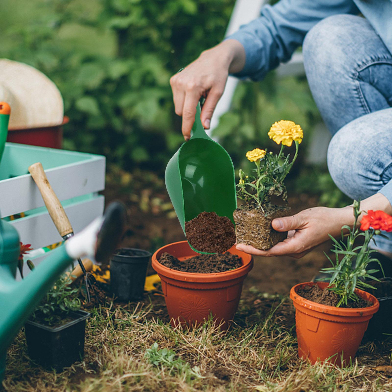 Łopatki ogrodowe, szufle do zi – Plant Parent Tools recenzja i cena