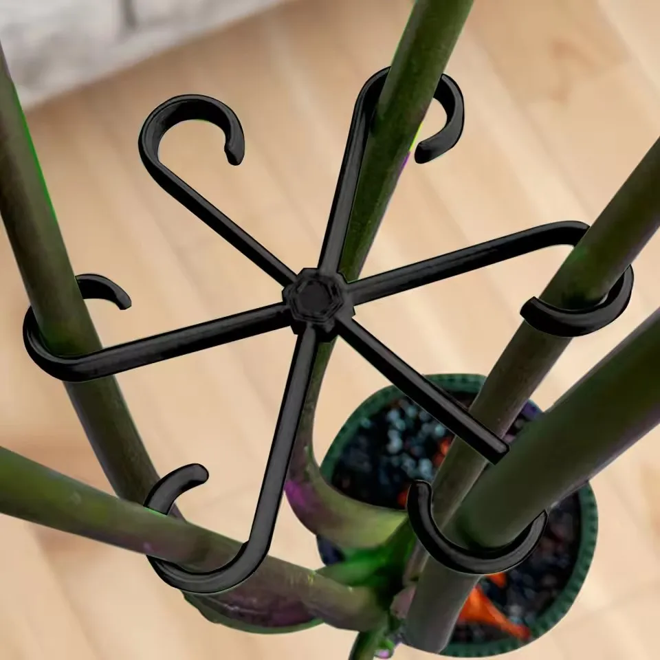 Podpórki do liści Alocasy i Mo – Variegated Monstera Node recenzja i cena