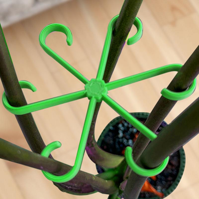 4szt Klipsy podtrzymujące rośl – Variegated Monstera Node recenzja i cena
