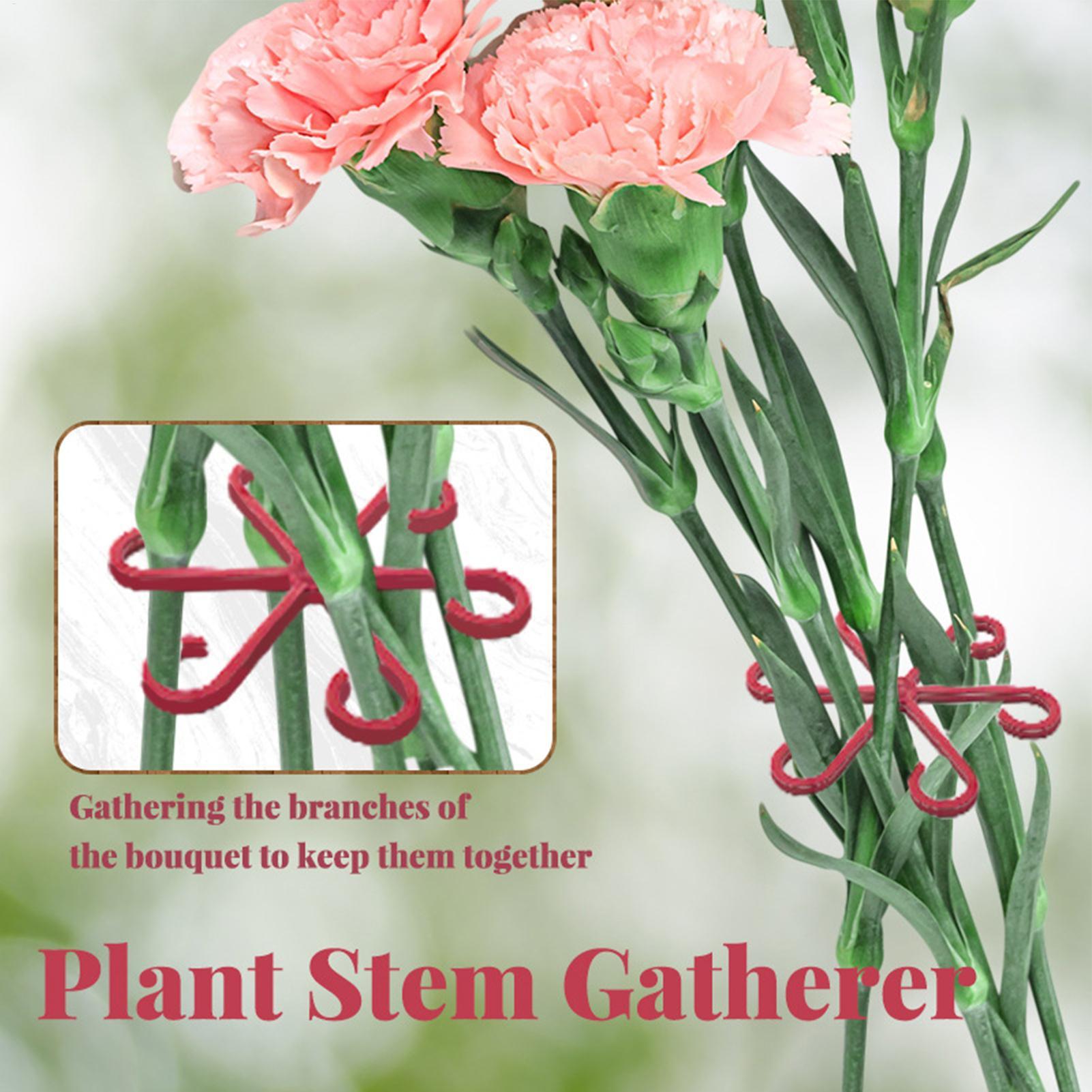 4 szt. Klipsy do mocowania roś – Plant Parent Tools recenzja i cena