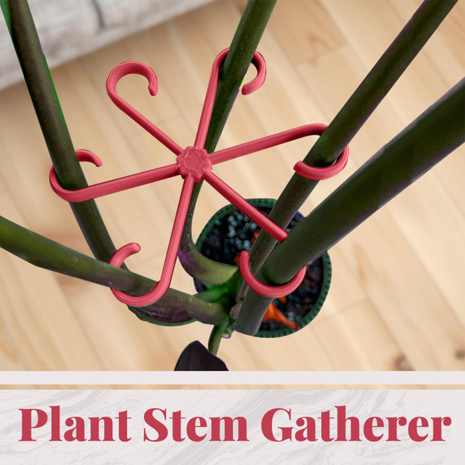 4 szt. Klipsy do mocowania roś – Plant Parent Tools recenzja i cena