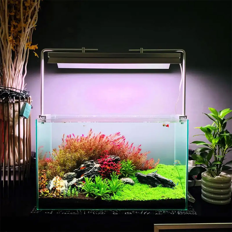 WEEK AQUA L Series, Lampa LED  – Plant Parent App recenzja i cena