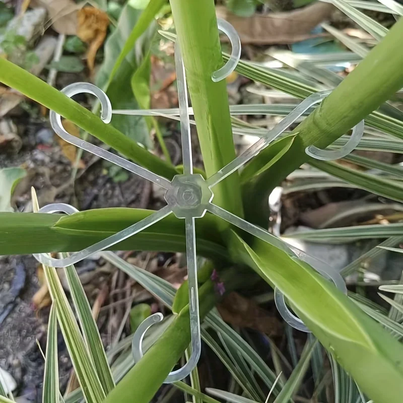 4 szt. Klipsy do podtrzymywani – Variegated Monstera Node recenzja i cena