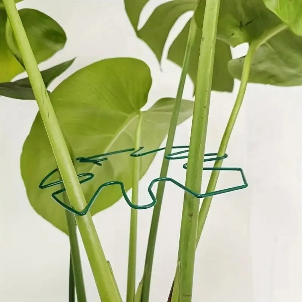 1 szt. Duży stojak na rośliny, – Variegated Monstera Node recenzja i cena
