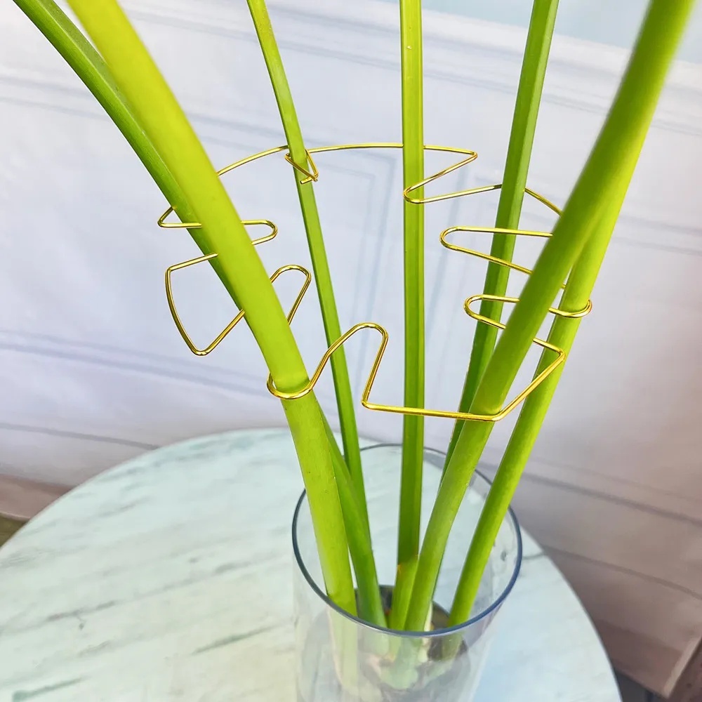 1 szt. Duży stojak na rośliny, – Variegated Monstera Node recenzja i cena