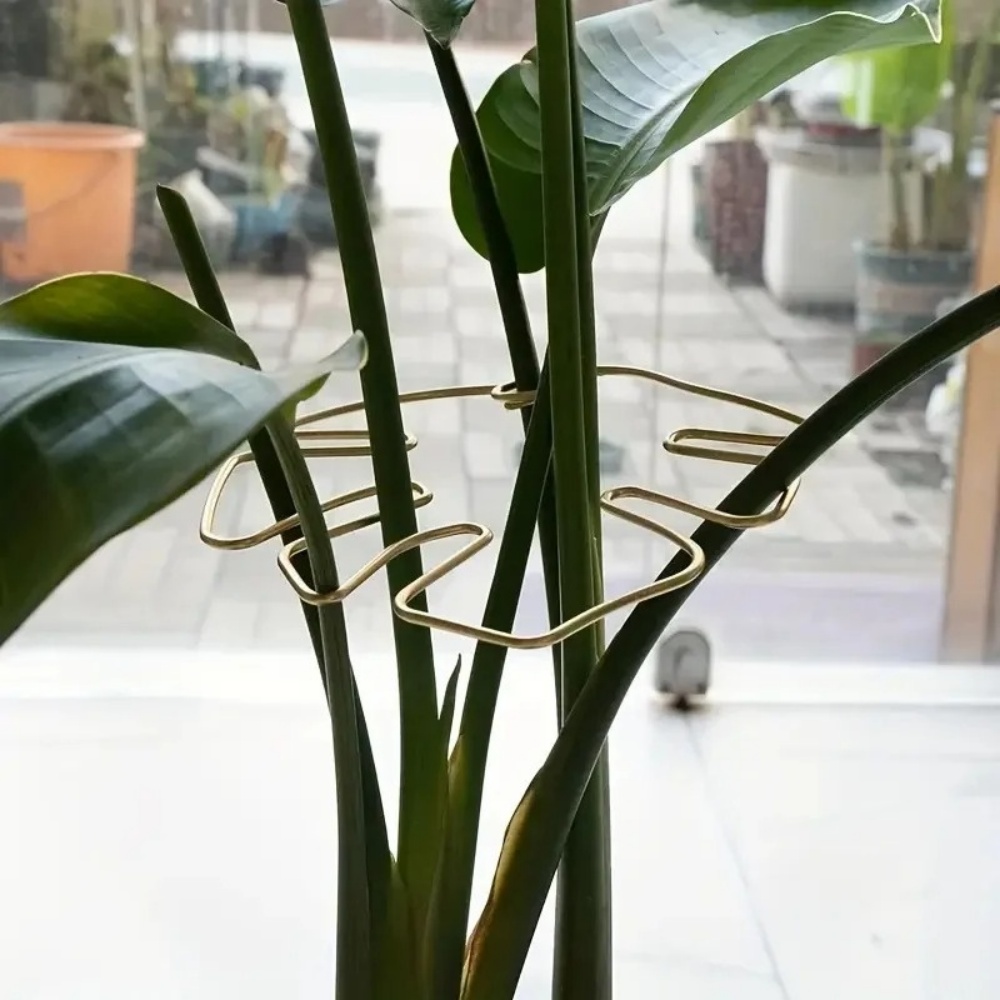 1 szt. Duży stojak na rośliny, – Variegated Monstera Node recenzja i cena