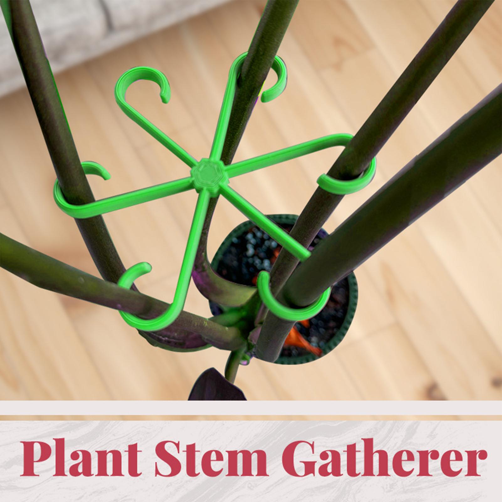 4 szt. Klipsy do podtrzymywani – Variegated Monstera Node recenzja i cena