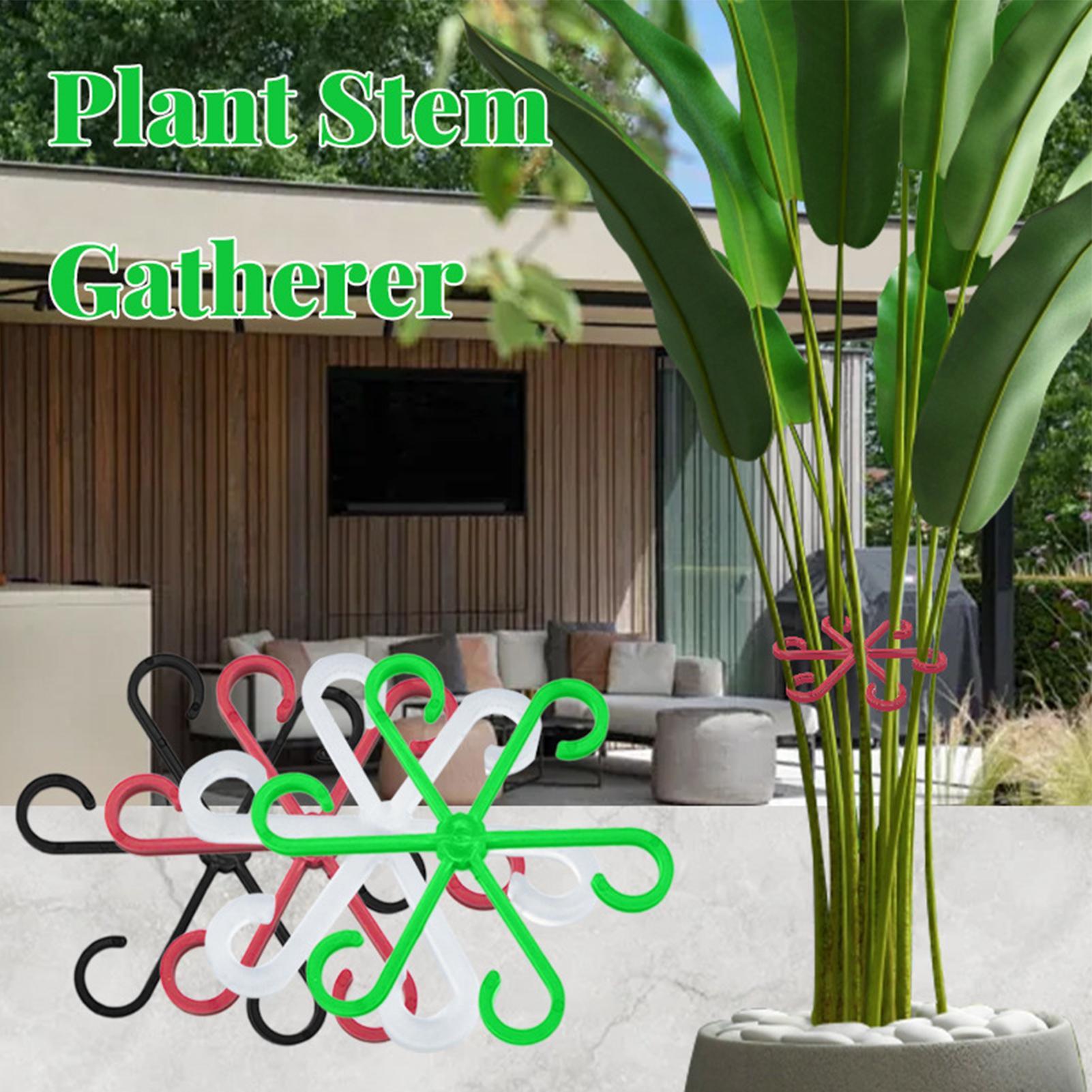 4 szt. Klipsy do podtrzymywani – Variegated Monstera Node recenzja i cena