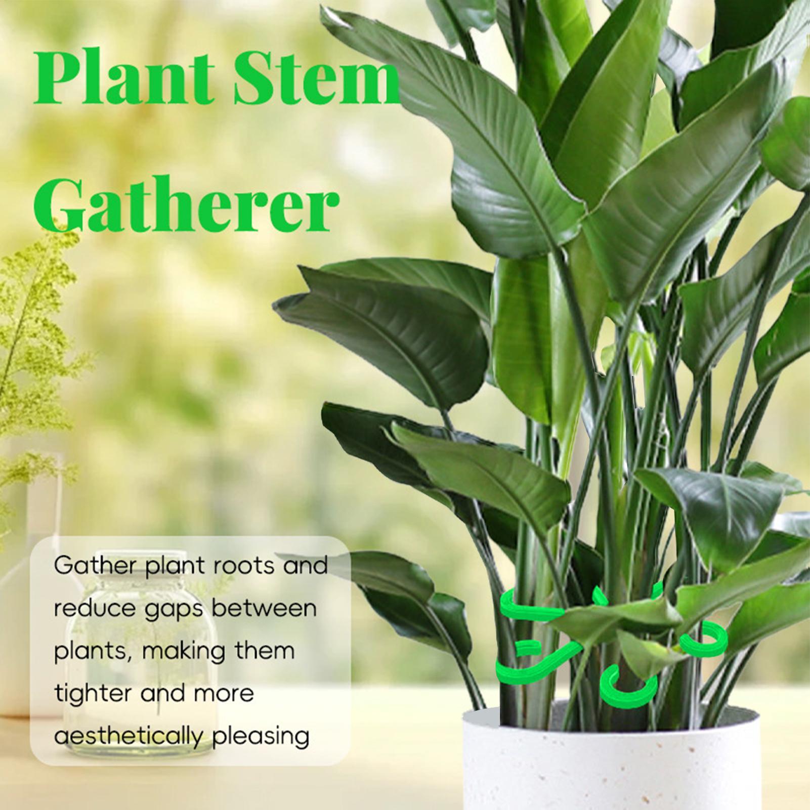 4 szt. Klipsy do podtrzymywani – Variegated Monstera Node recenzja i cena