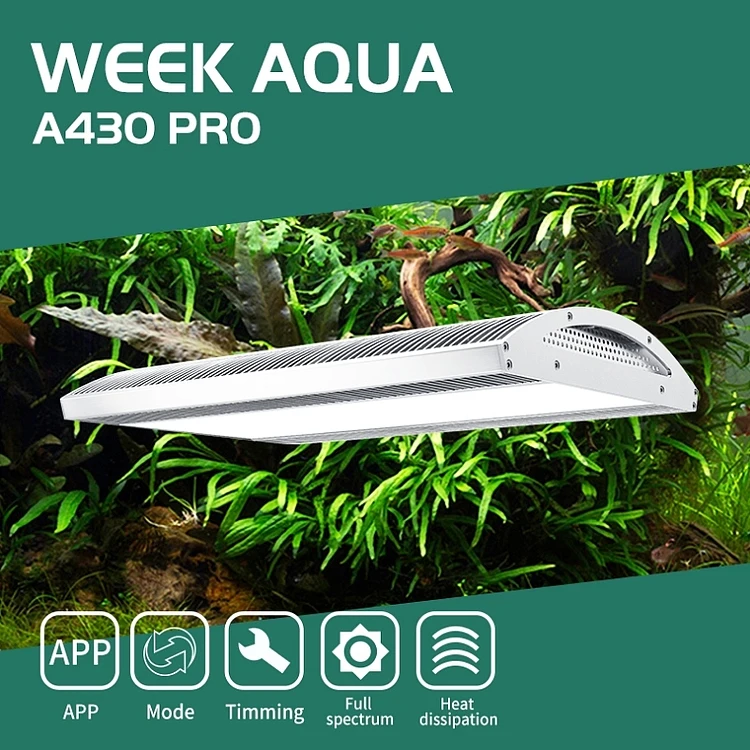Week Aqua A430 Pro 120W LED La – Plant Parent App recenzja i cena