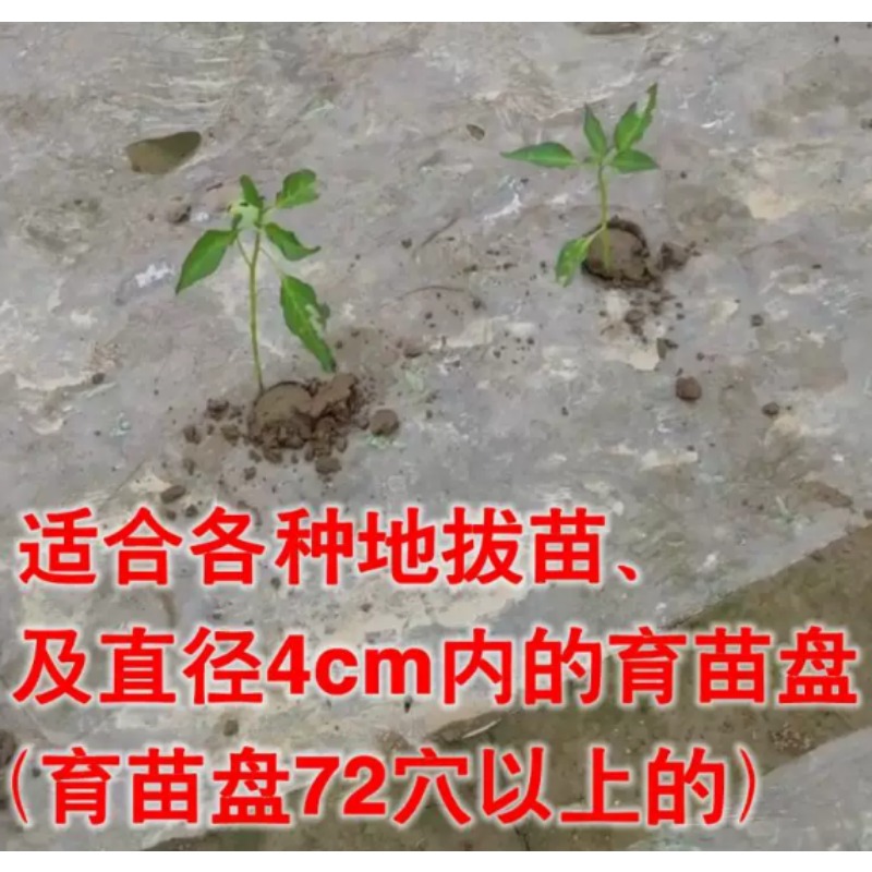 Maszyna do sadzenia sadzonek r – Plant Parent Tools recenzja i cena