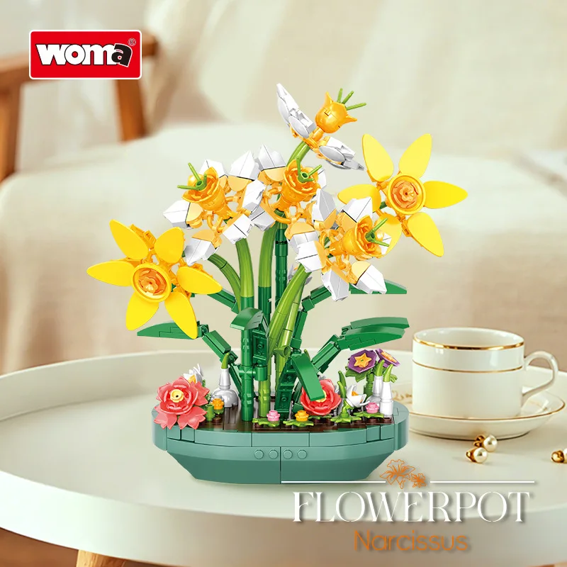 Kwiat narcyzu w doniczce, utrw – Plant Parent Yearly recenzja i cena